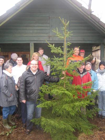 Fast geeignet für die Kathedrale: Kapitaler Baumriese vor der Hattendorfer Waldhütte.